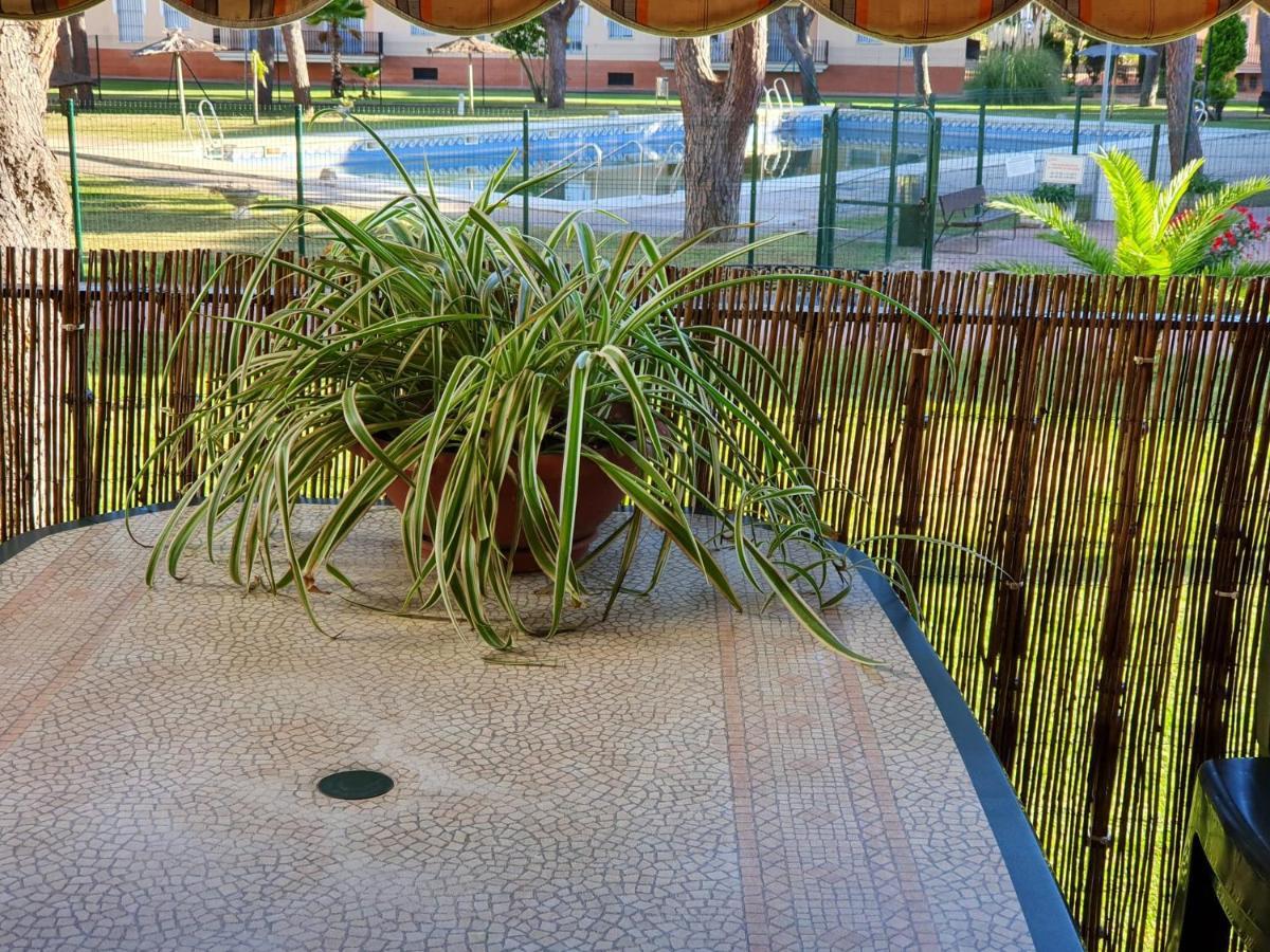 Alquiler Pre-parque Donana Mazagon