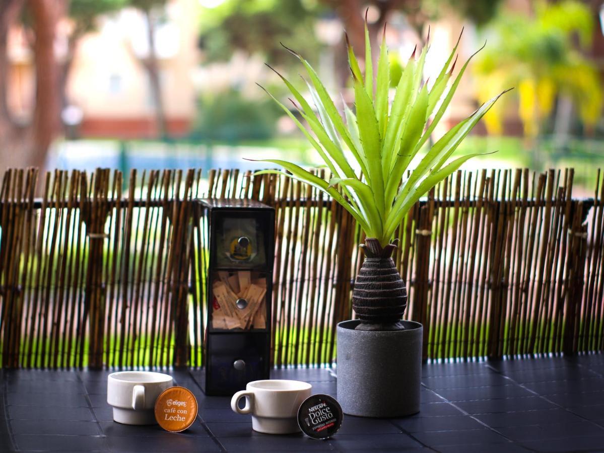 Alquiler Pre-parque Donana Apartamento *